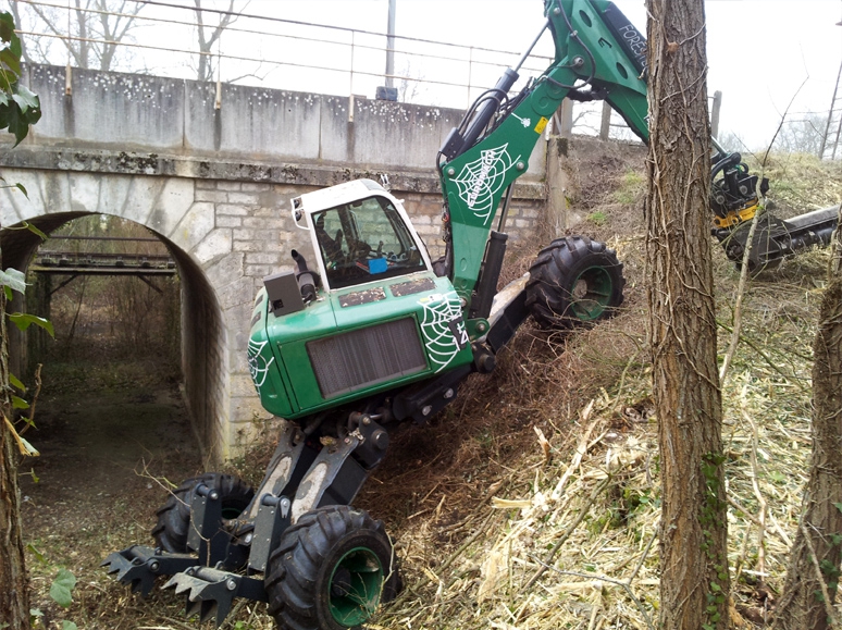 R145 Big Foot - Forester — fotografie 2 z 9