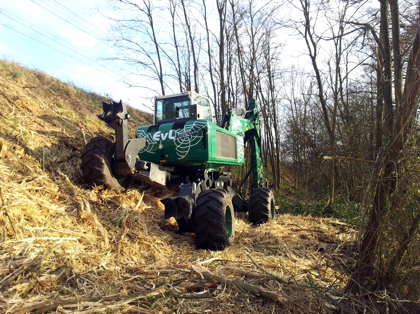 R145 Big Foot - Forester — fotografie 3 z 9