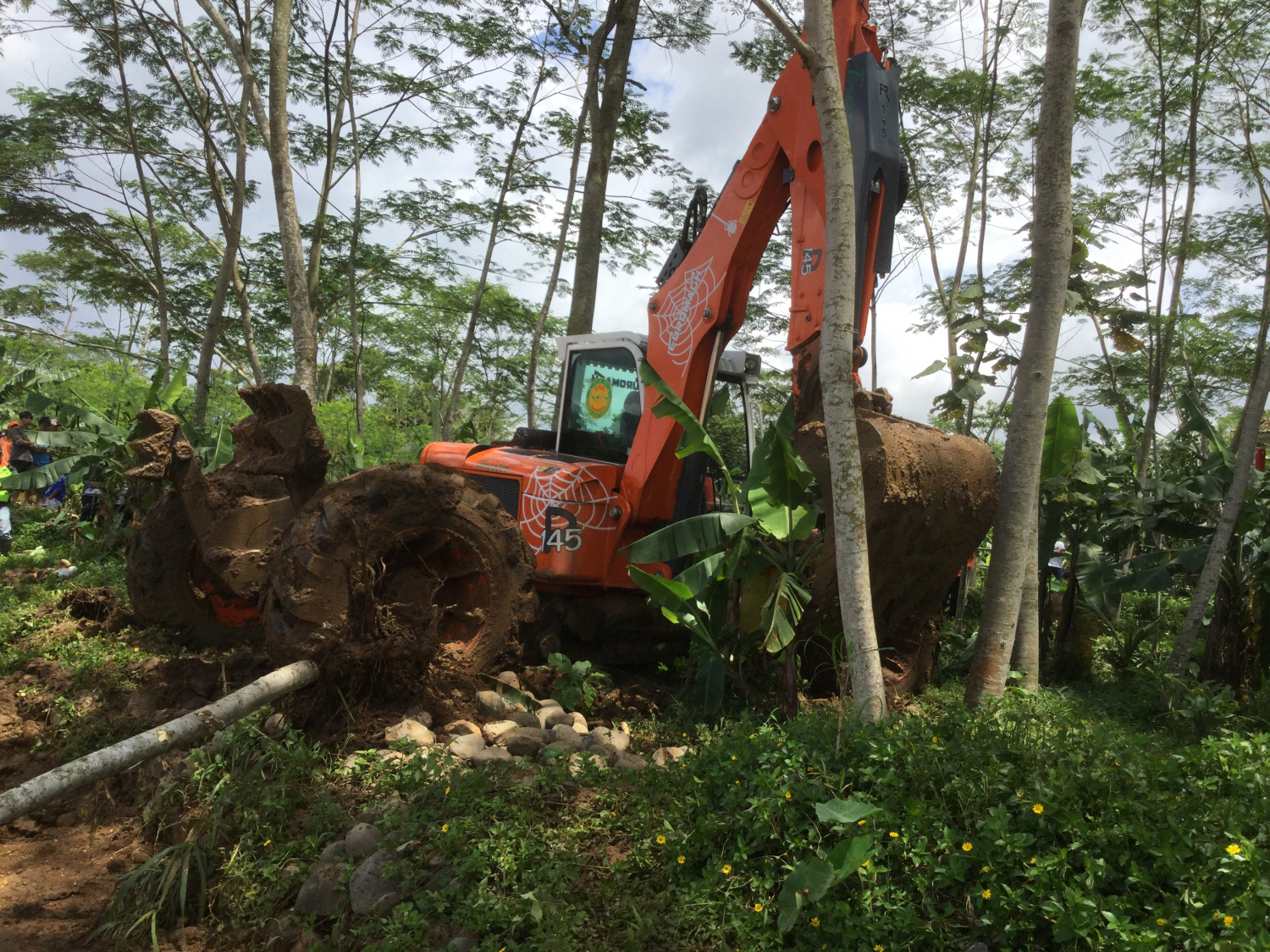 R145 Big Foot - Forester — fotografie 1 z 9