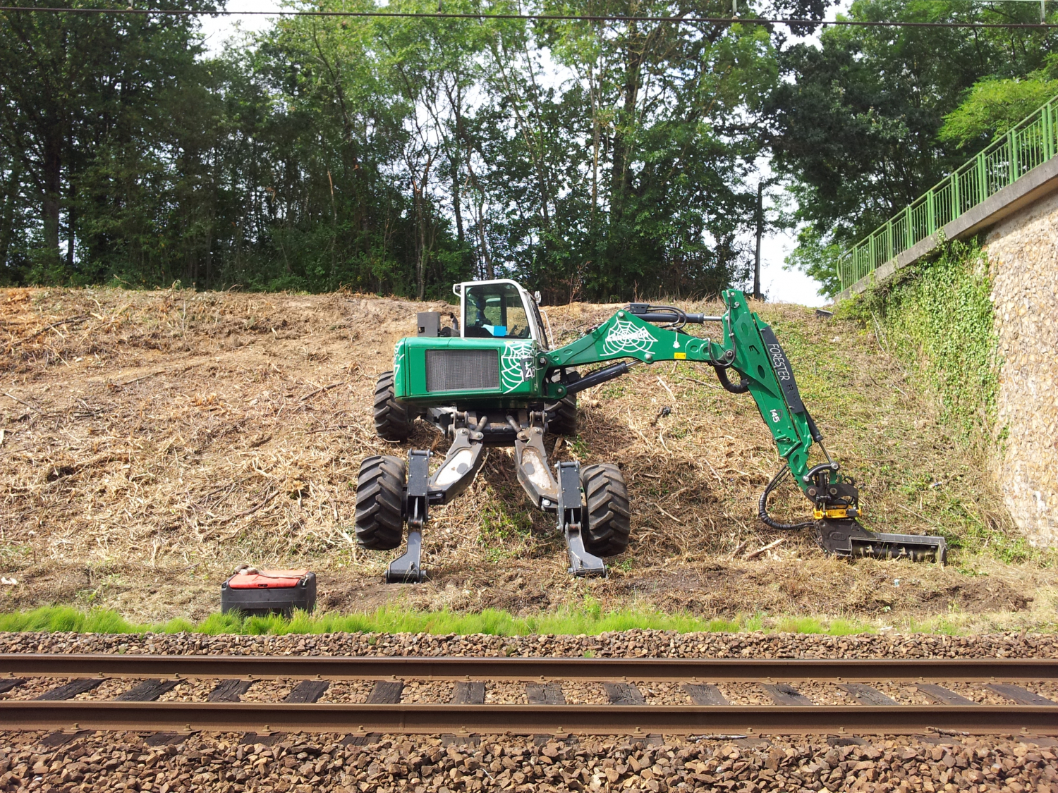 R145 Big Foot - Forester — fotografie 7 z 9